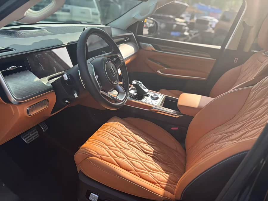 Tank 500 New Energy 2024 car image #12