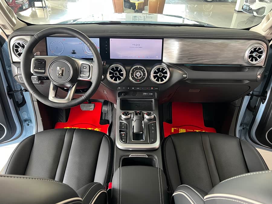 Tank 300 New Energy 2024 car image #12