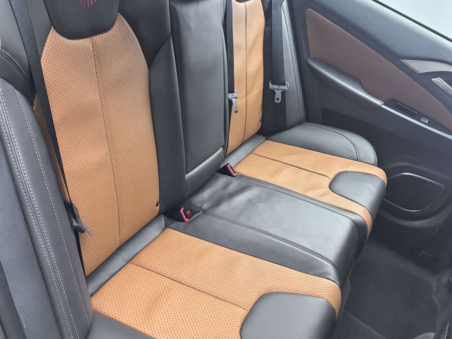 BYD Qin New Energy 2016 car image #12