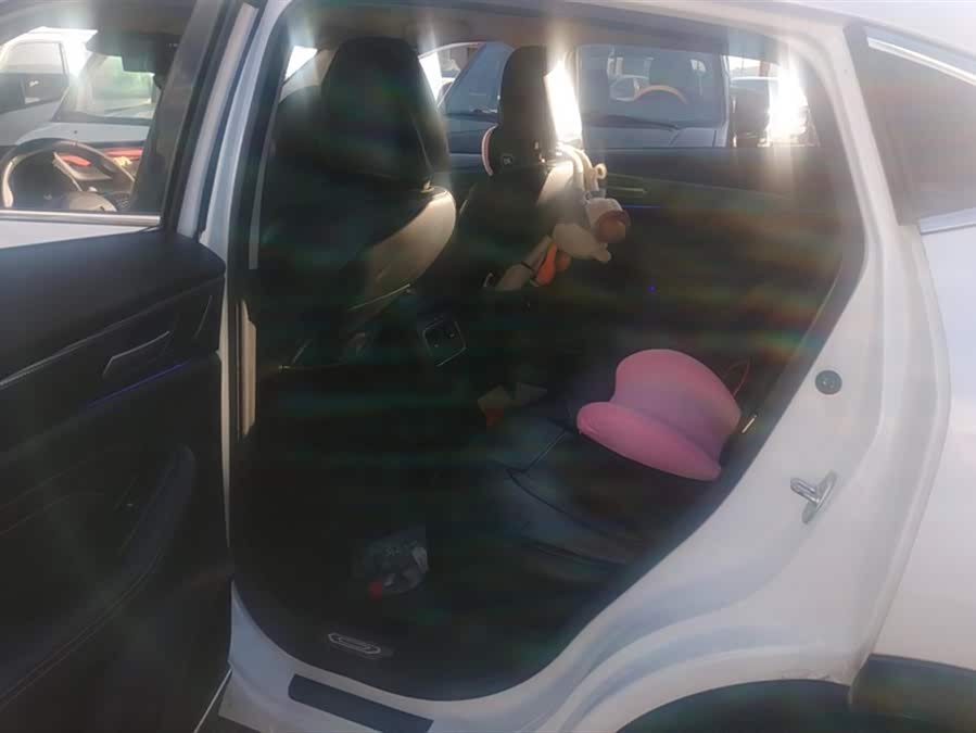 Haval F7x 2021 immagine di auto #12