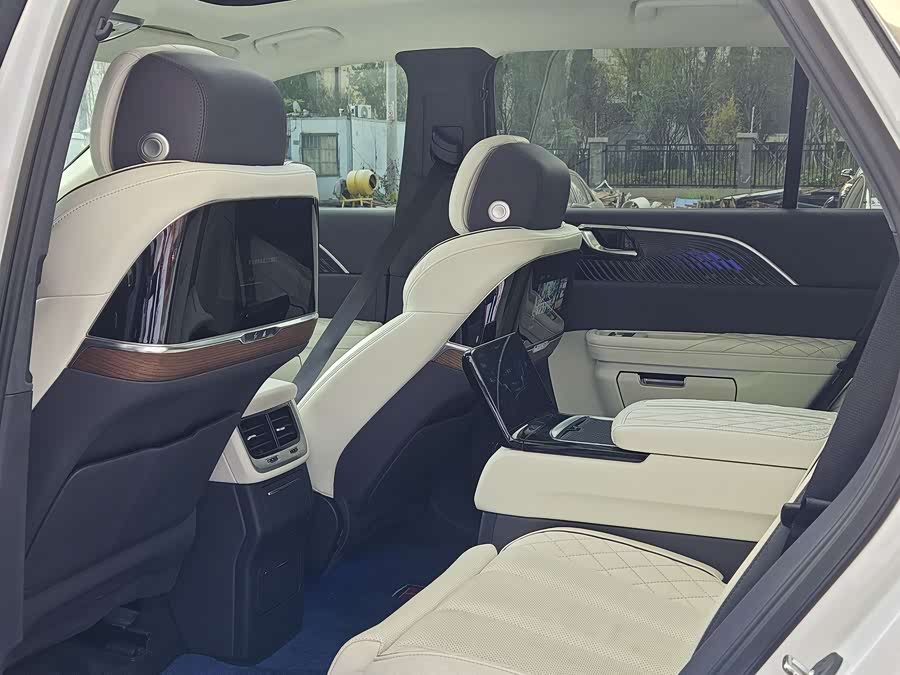 HongQi E-HS9 2021 صورة سيارة #12