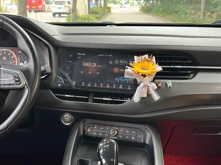 Haval F7x 2019 #12 Haval F7x 2019 car image #12