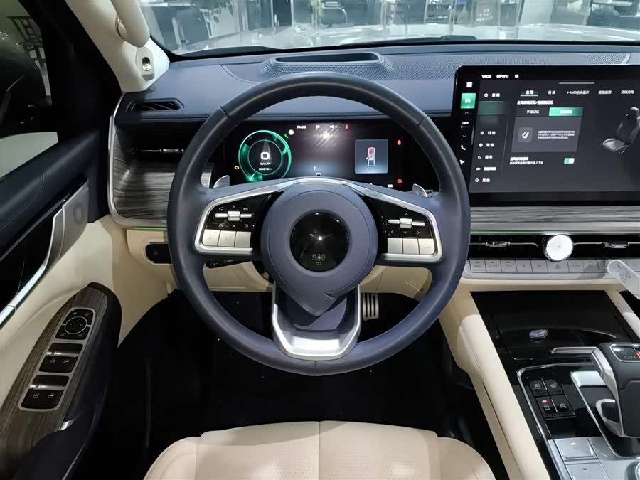 Great Wall Shanhai Pao 2023 car image #12