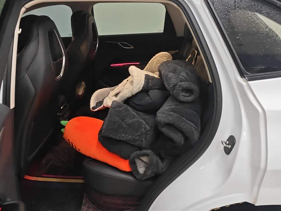 HongQi HS3 2023 #12 HongQi HS3 2023 car image #12