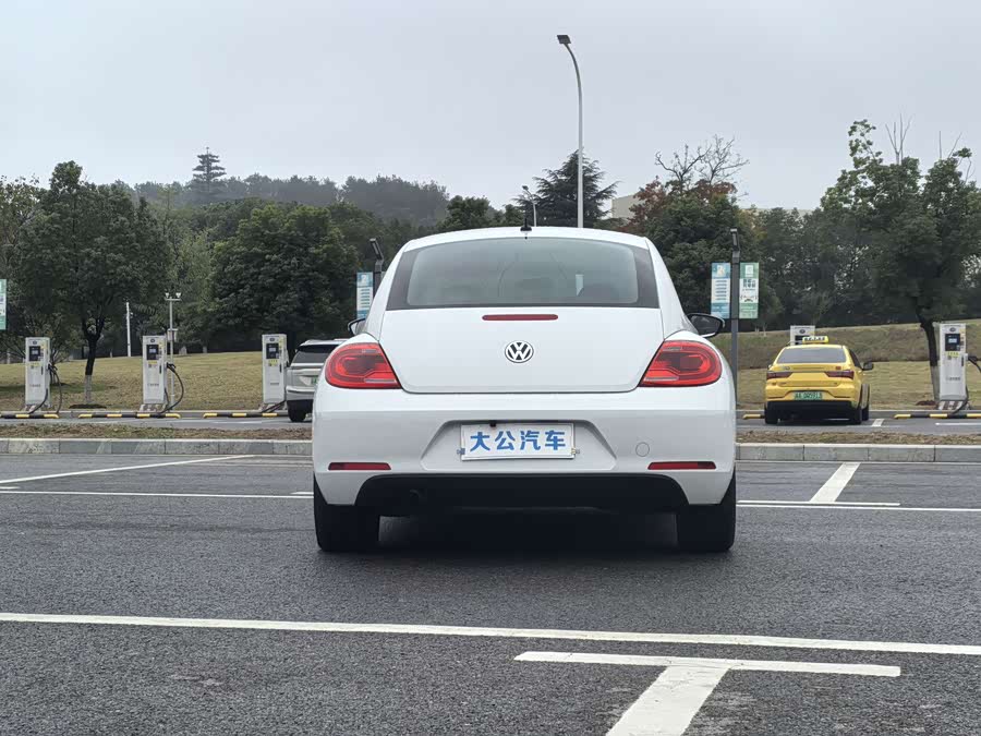 Volkswagen Beetle 2017 immagine di auto #12