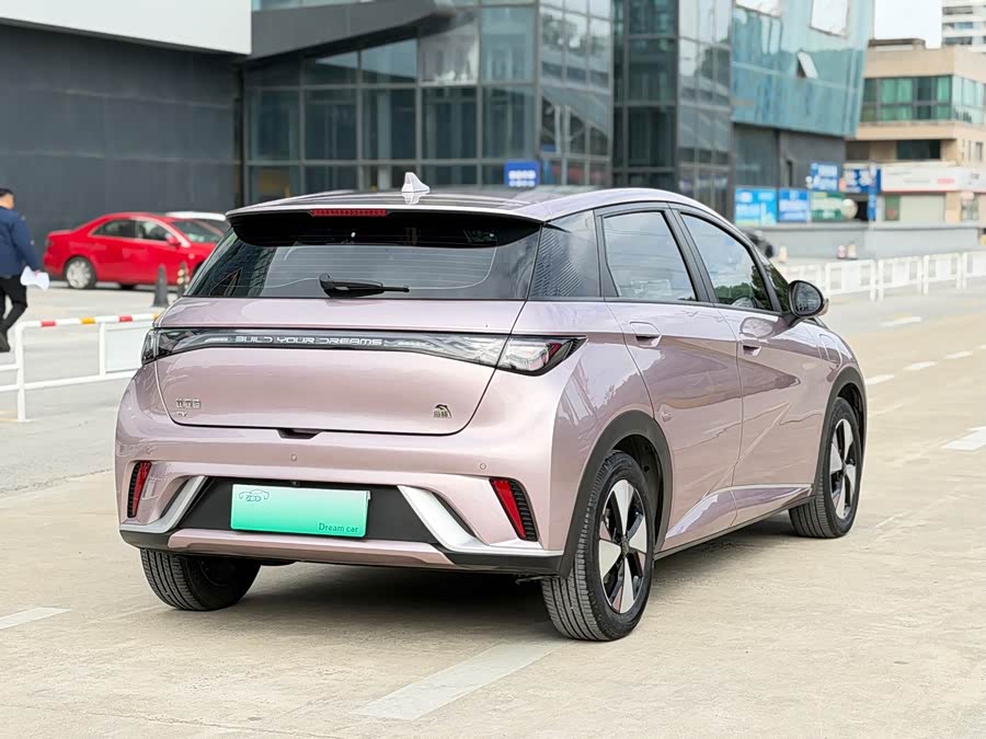 比亚迪 海豚 2023 汽车图片 #12