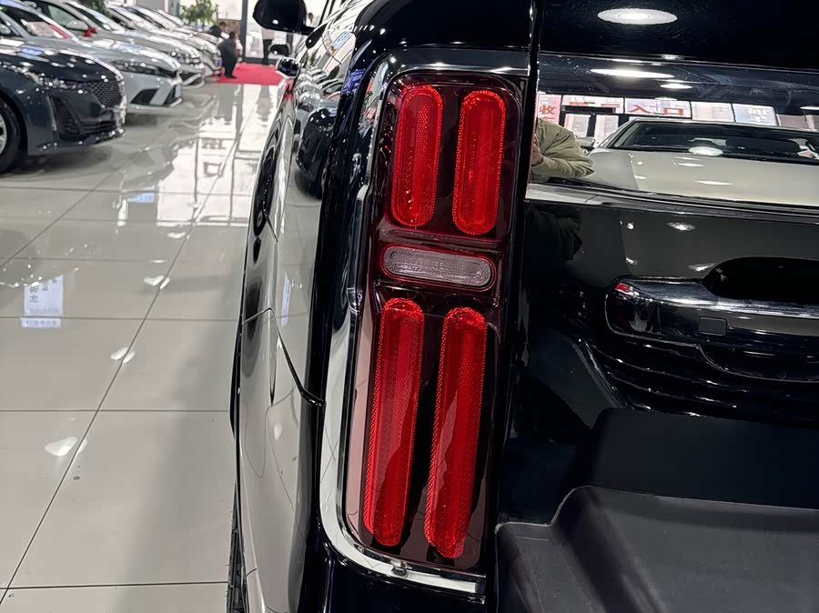 Tank 500 New Energy 2023 car image #12