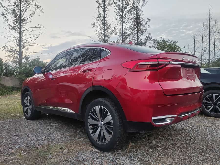 Haval F7x 2019 immagine di auto #12