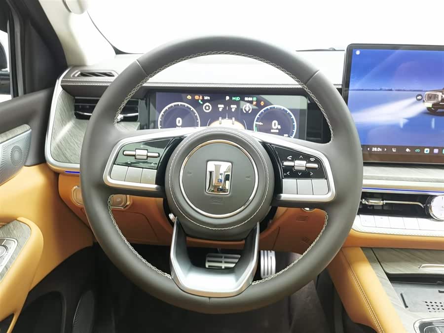 Tank 500 New Energy 2025 immagine di auto #12