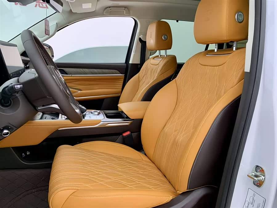 Tank 500 New Energy 2024 #12 Tank 500 New Energy 2024 car image #12