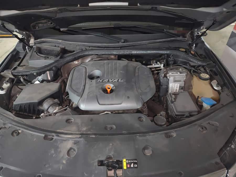 Haval H8 2017 #12 Haval H8 2017 car image #12