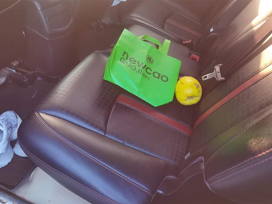 BYD S7 2015 car image #12