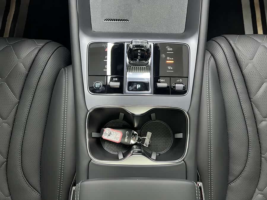 BYD Sea Lion 07 EV 2025 car image #12