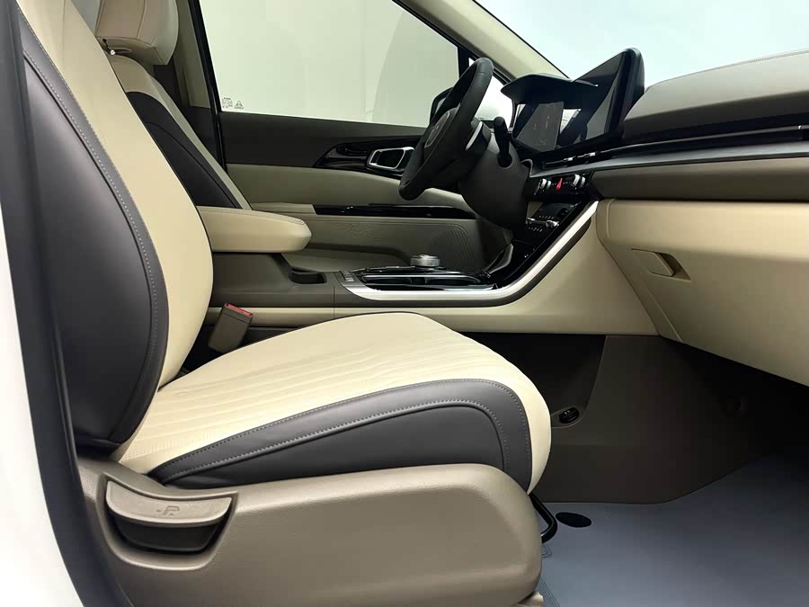 Kia Carnival 2024 immagine di auto #12