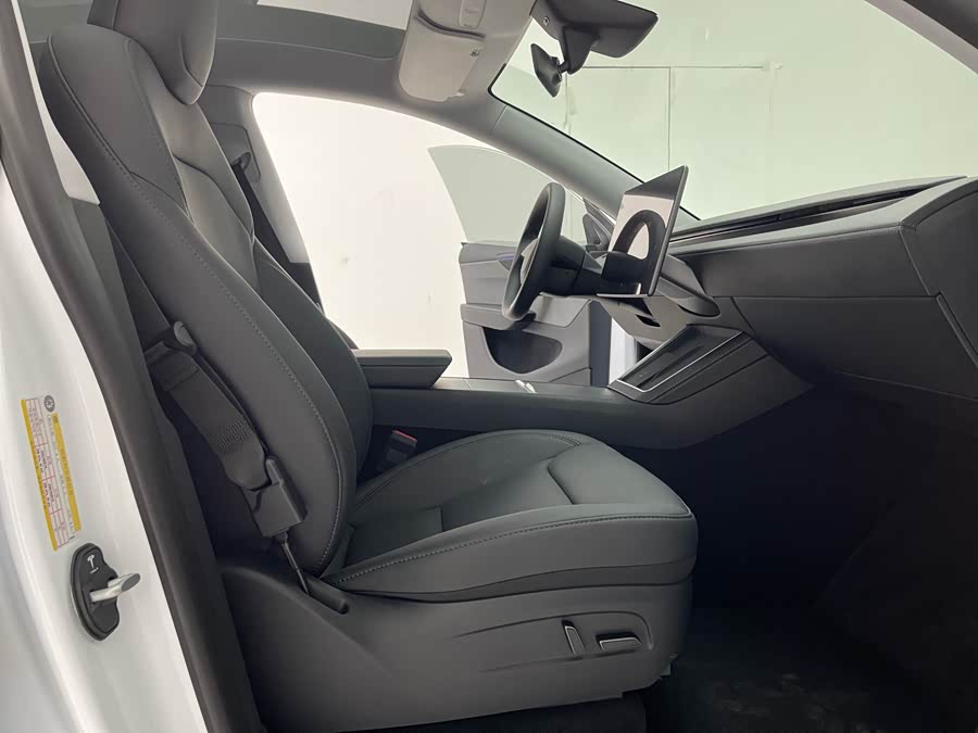 Tesla Model Y 2025 car image #12