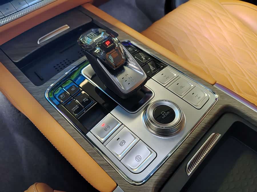 Tank 500 New Energy 2024 immagine di auto #12