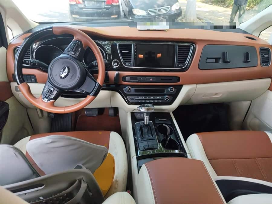 Kia Carnival (Imported) 2016 car image #12