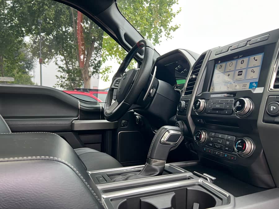 Ford F-150 Raptor 2019 car image #12