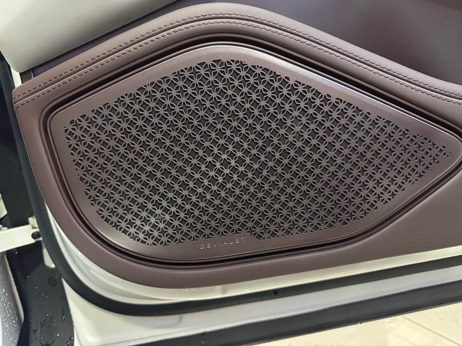 Denza Z9GT 2023 immagine di auto #12