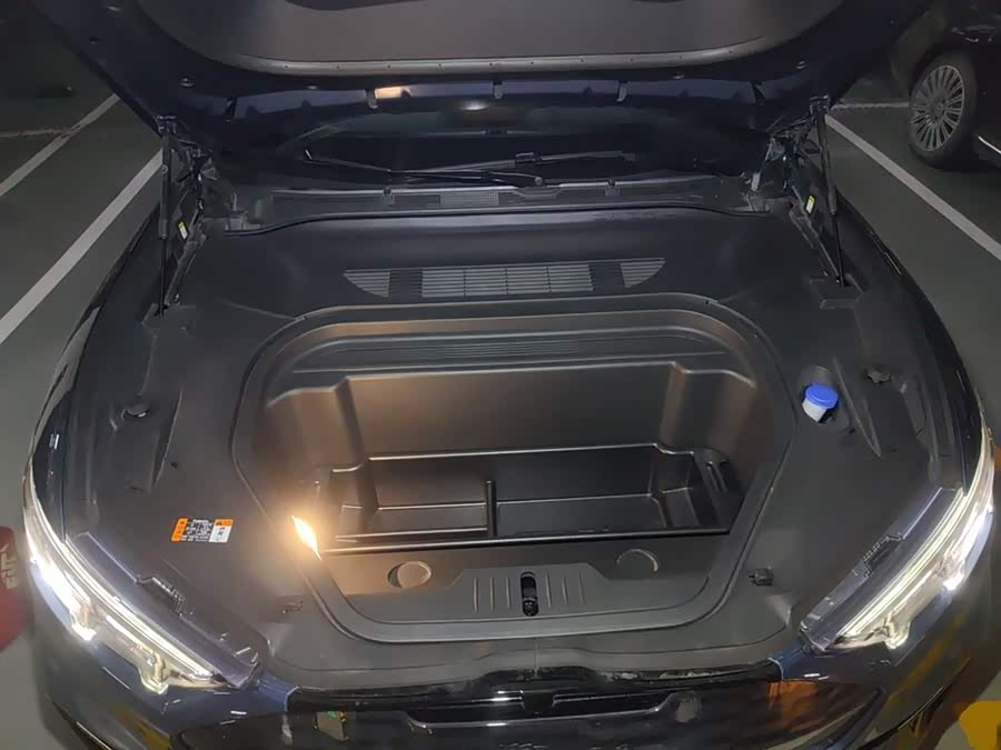 Ford Mustang Mach-E 2022 car image #12