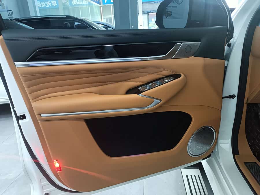 Tank 500 New Energy 2024 car image #12