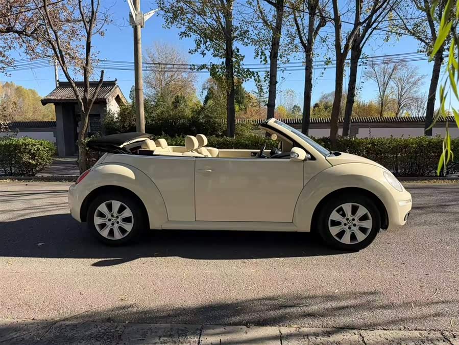 Volkswagen Beetle 2010 immagine di auto #12