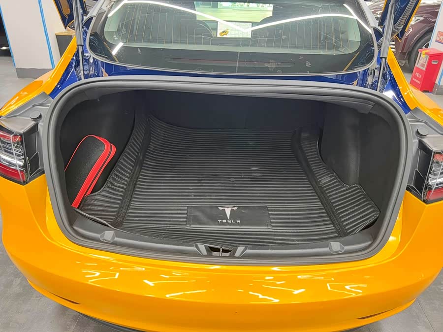 Tesla Model 3 2020 car image #12