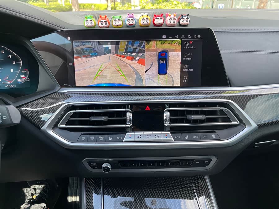 BMW X5 M 2021 immagine di auto #12