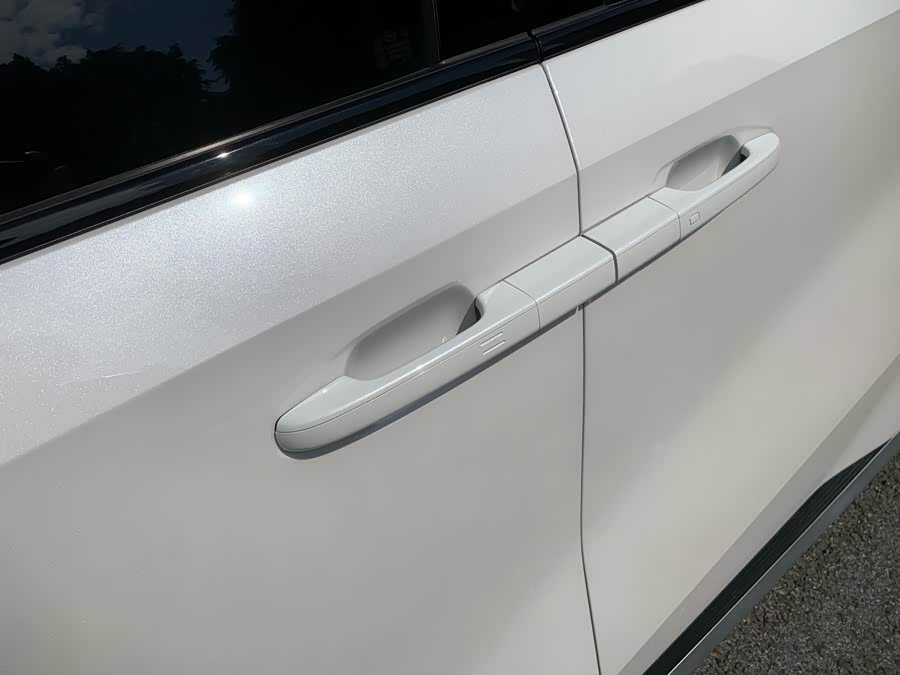 GAC Trumpchi E9 2024 car image #12