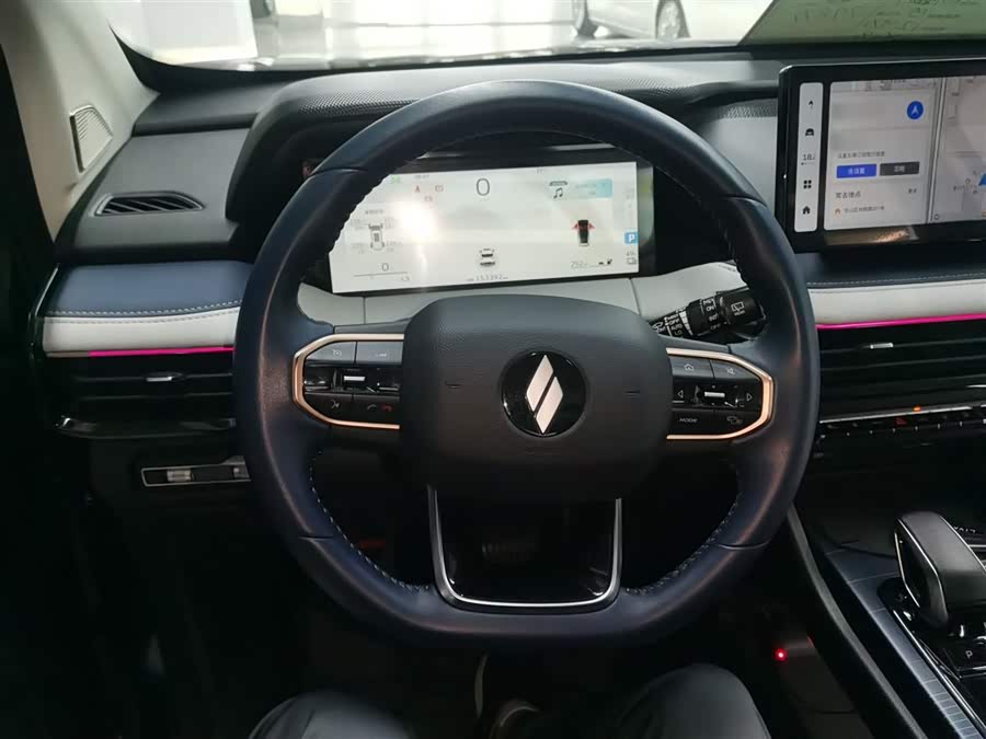 睿蓝汽车 睿蓝9 2023 汽车图片 #12