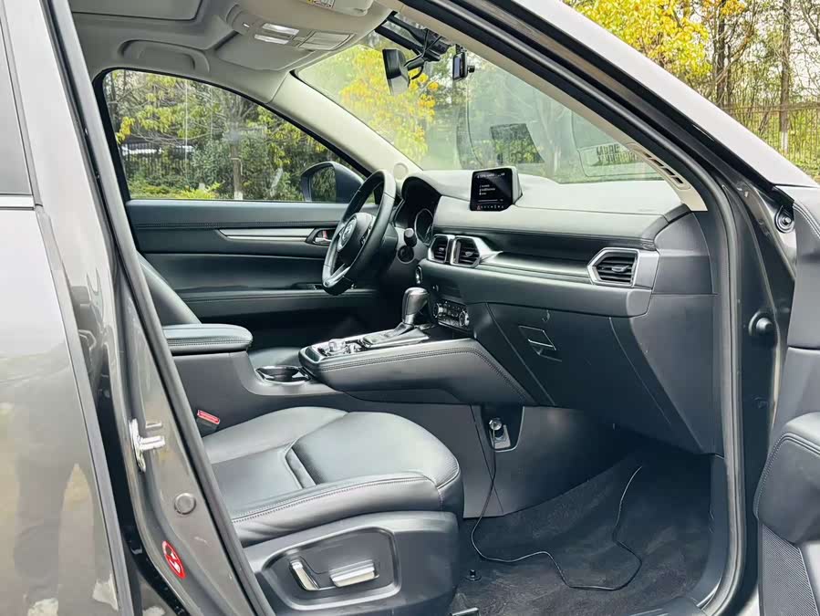 Mazda CX-8 2019 immagine di auto #12