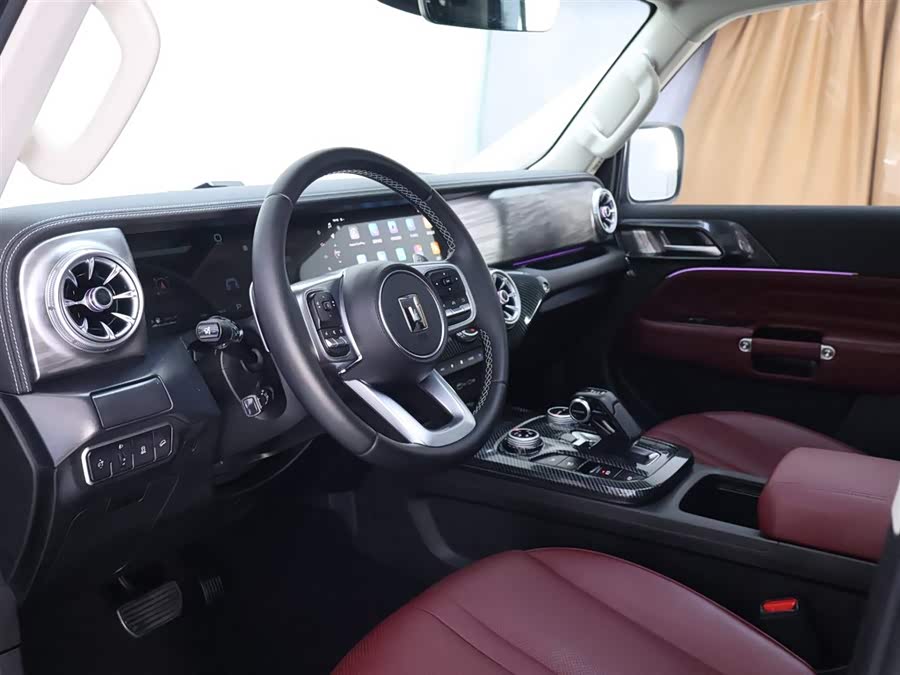 Tank 300 2024 car image #12