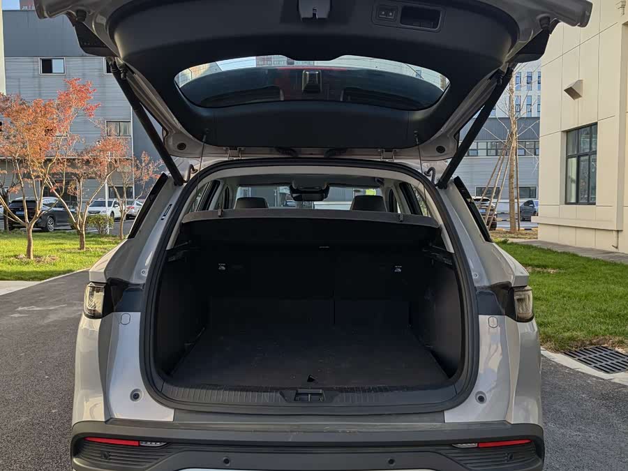 BYD Sea Lion 05 DM-i 2025 car image #12