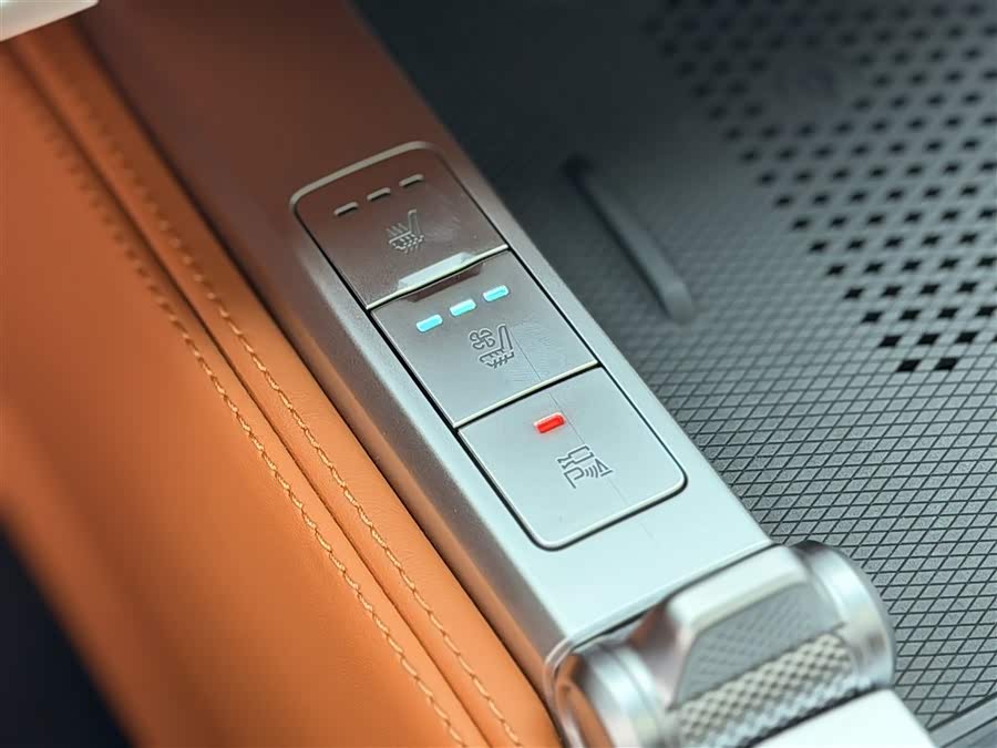 Tank 700 New Energy 2024 imagen de coche #12