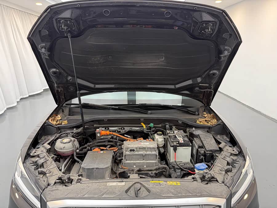 奥迪 奥迪Q2L e-tron 2020 汽车图片 #12