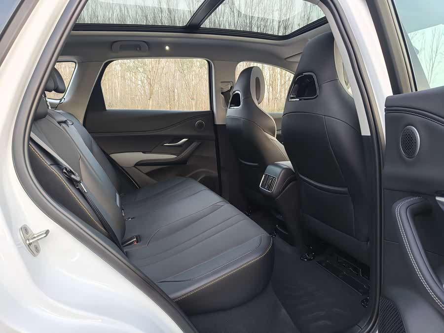 BYD Sea Lion 05 DM-i 2025 car image #12