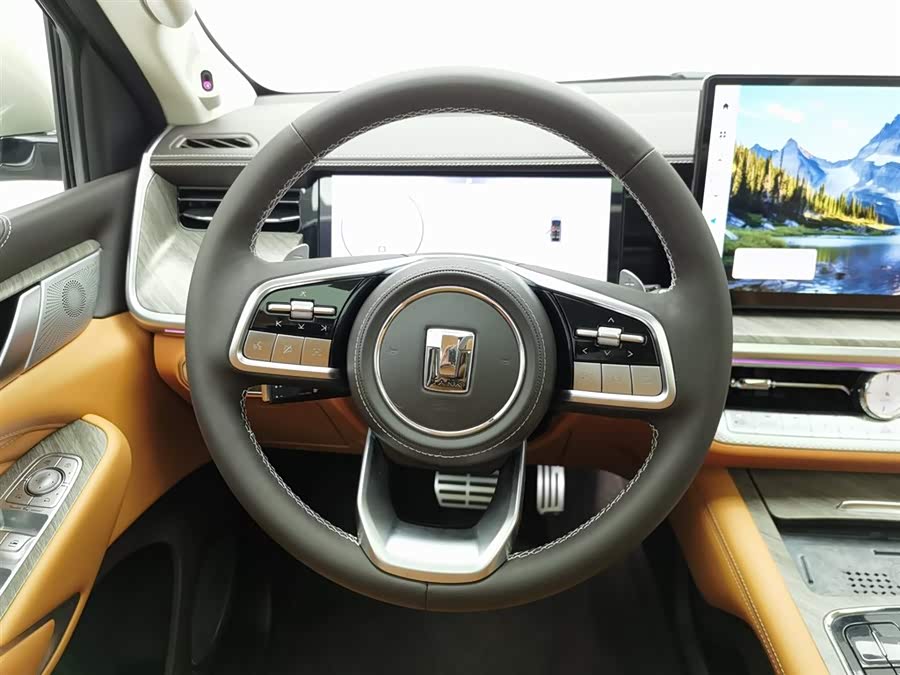 Tank 500 2022 car image #12