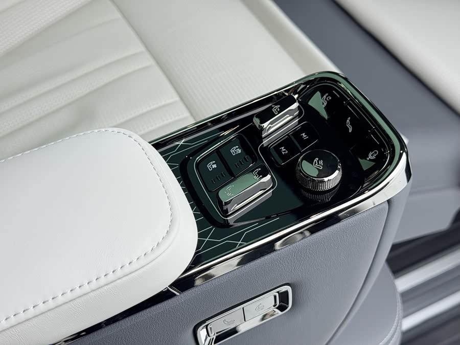 极氪 极氪009 2023 汽车图片 #12