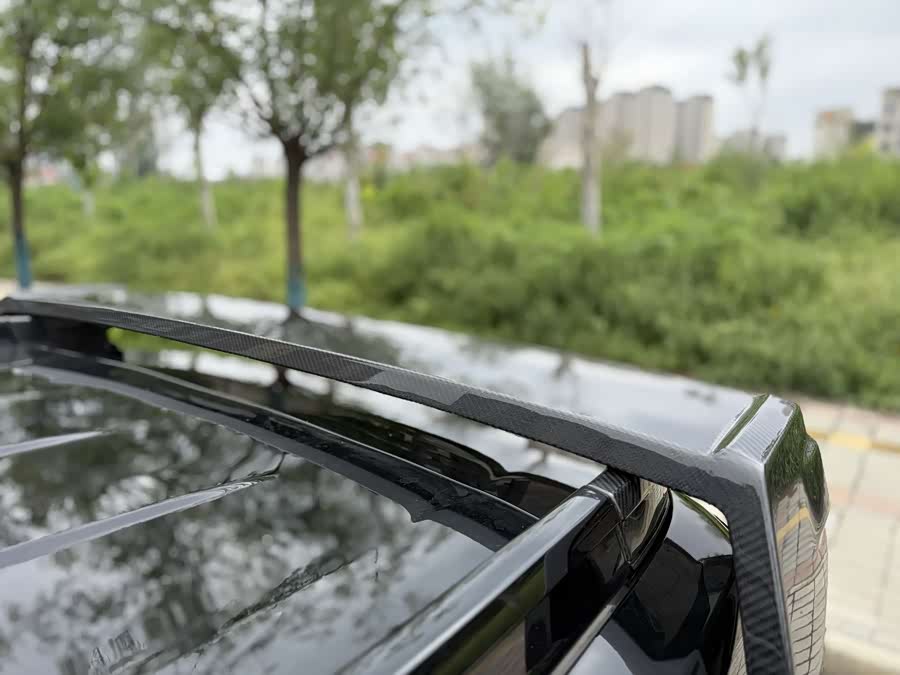 Tank 700 New Energy 2024 car image #12