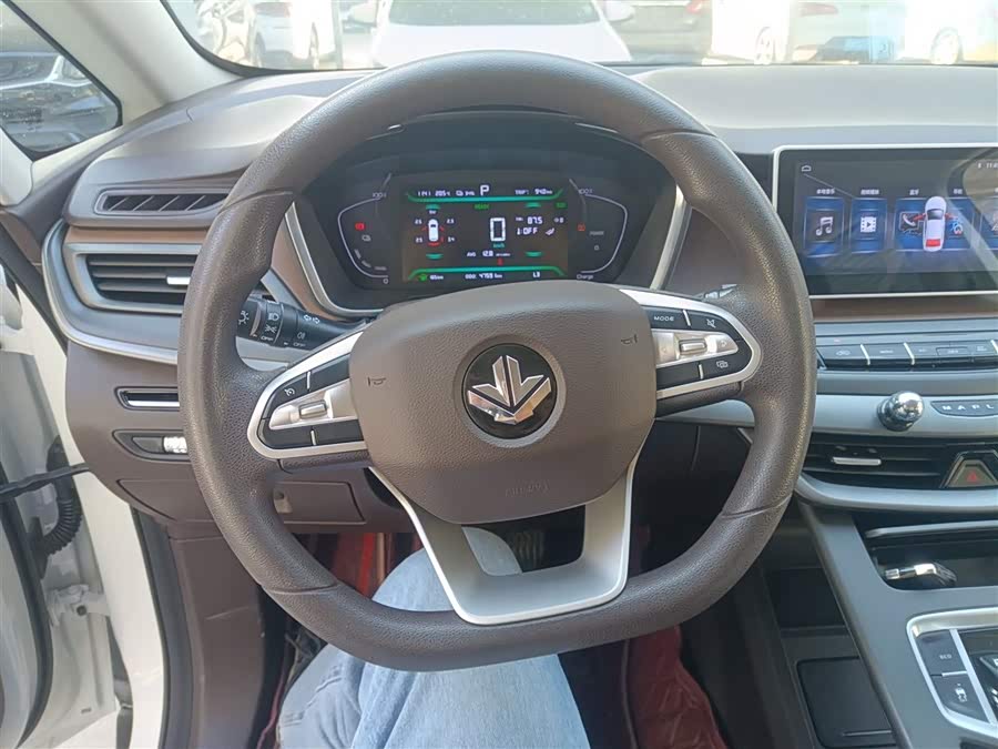 睿蓝汽车 枫叶80v 2021 汽车图片 #12