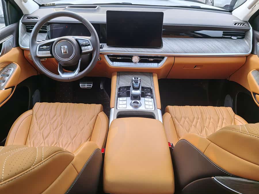 Tank 500 New Energy 2024 immagine di auto #12