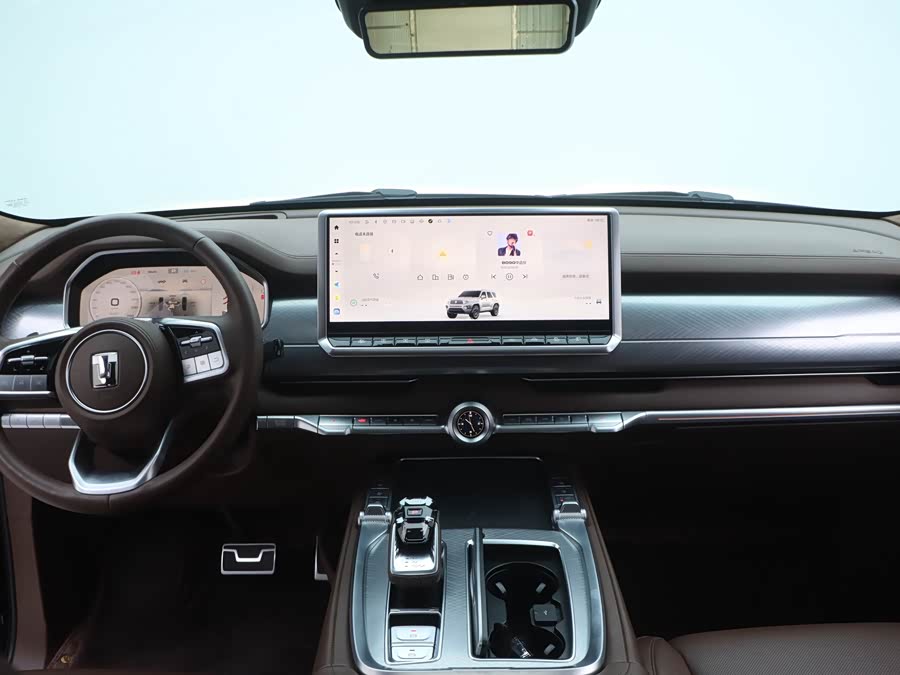 Tank 700 New Energy 2024 #12 Tank 700 New Energy 2024 immagine di auto #12