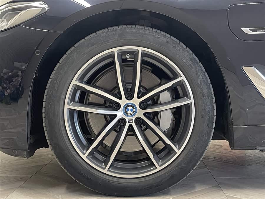 BMW 5 Series New Energy 2021 car image #12