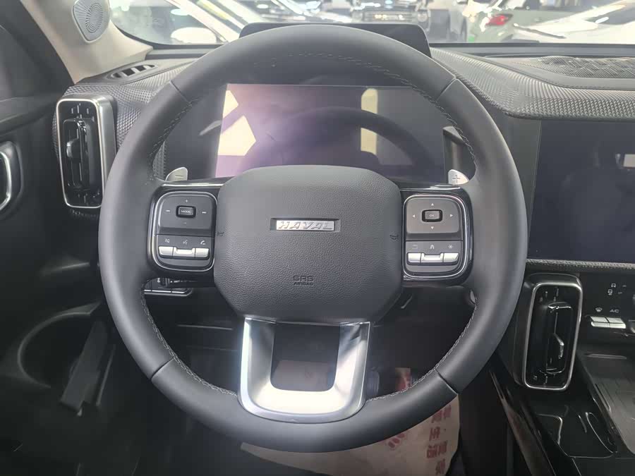 Haval X Dog / Dargo 2022 immagine di auto #12