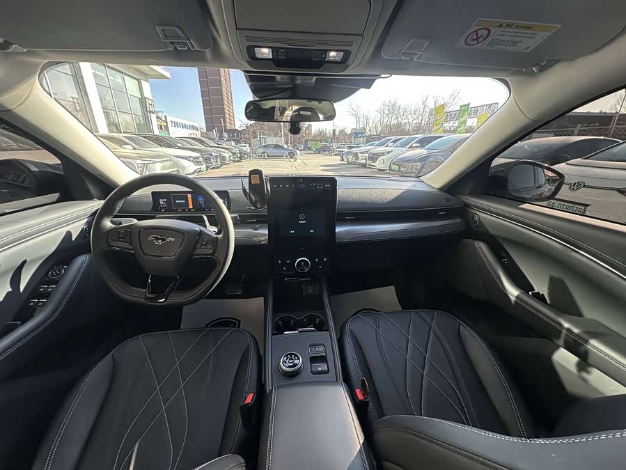 Ford Mustang Mach-E 2022 car image #12