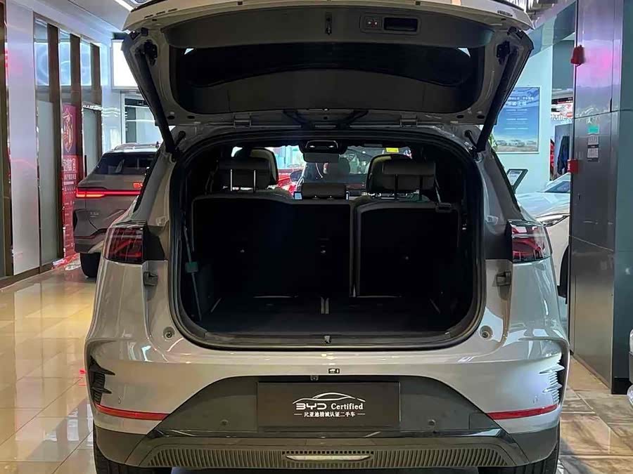 BYD Tang New Energy 2025 car image #12