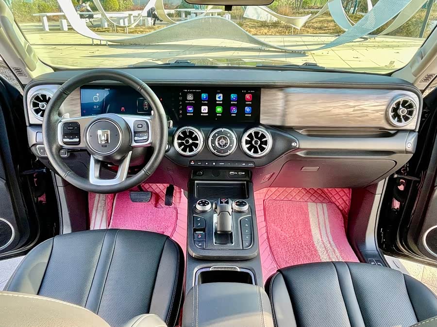 Tank 300 2023 car image #12