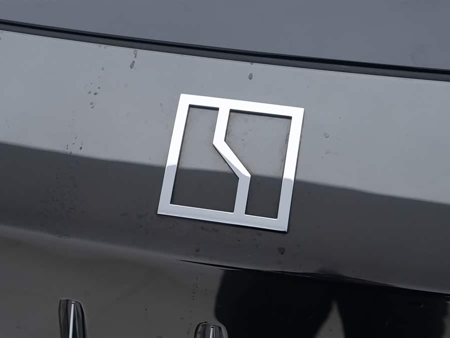 极氪 极氪009 2024 汽车图片 #12