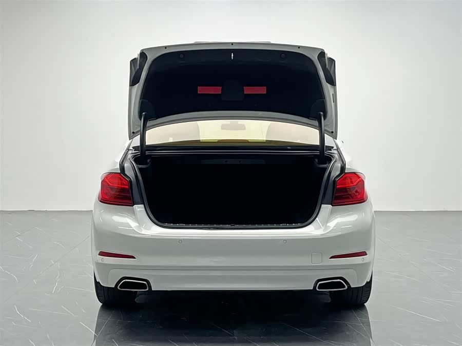 BMW 5 Series 2017 car image #12