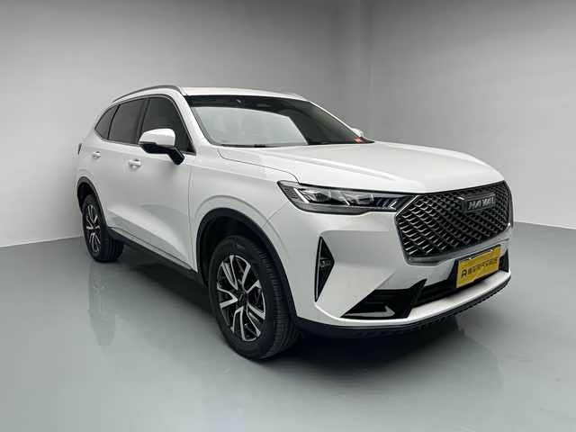 Haval H6 2021 car image #12
